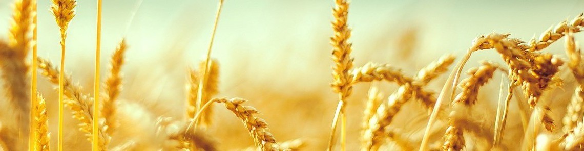 Partnering for Tomorrow - Not Equal Giving, but Equal Sacrifice